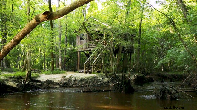 9 Exceptional Treehouse Hotels Across the U.S. for Unforgettable Stays
